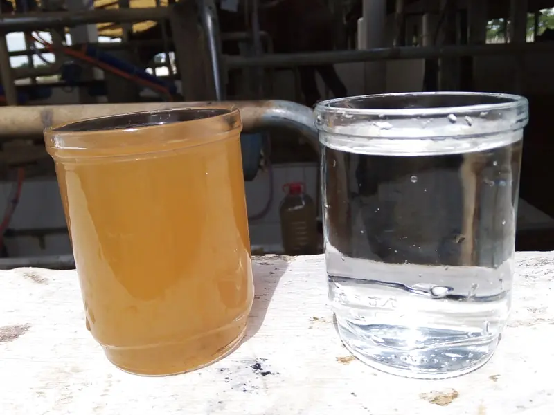 Dois copos lado a lado: água bruta turva e água purificada transparente